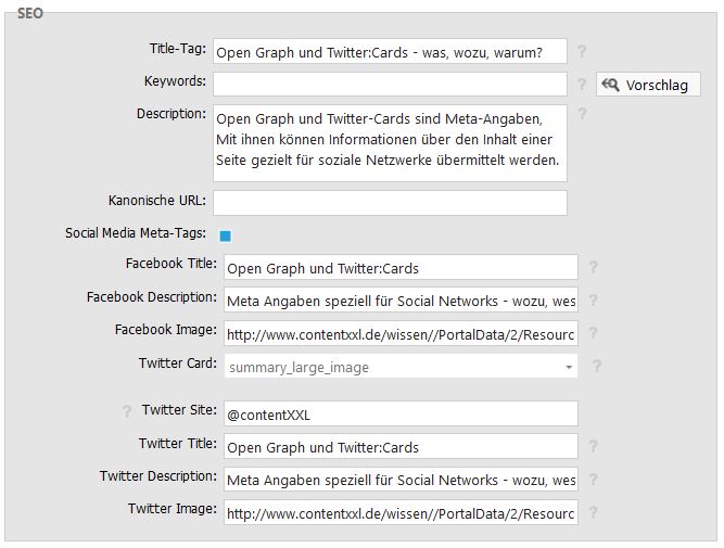 Abbildung aus dem contentXXL CMS - Eingabe der Infos für Open Graph und Twitter:Cards
