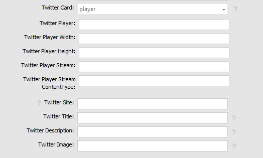 Abbildung: Eingabefelder für Twitter Player Card in contentXXL